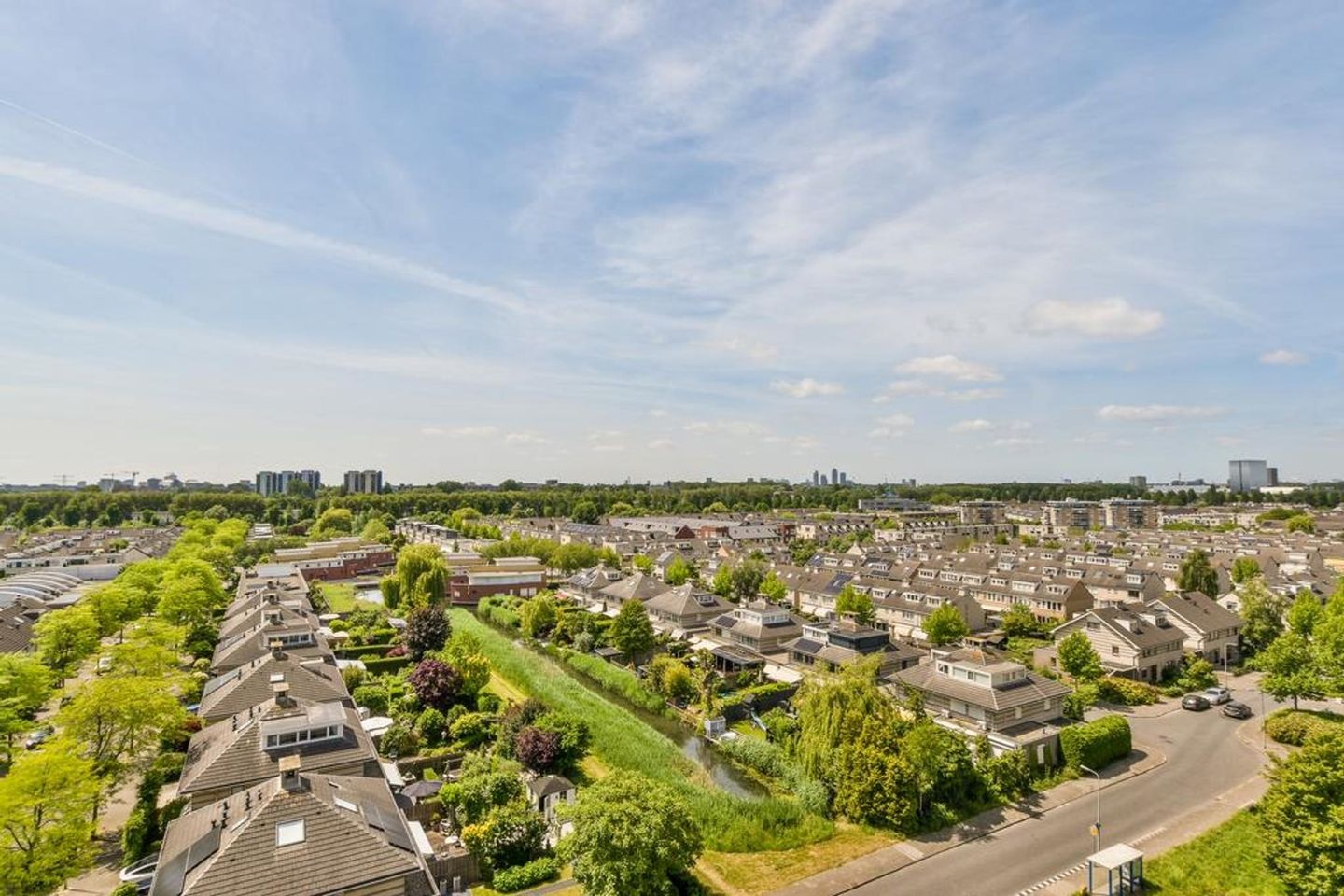 Photo 10 of Hermelijnvlinder 9