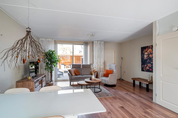 Foto 2 van Suikerpeer 20