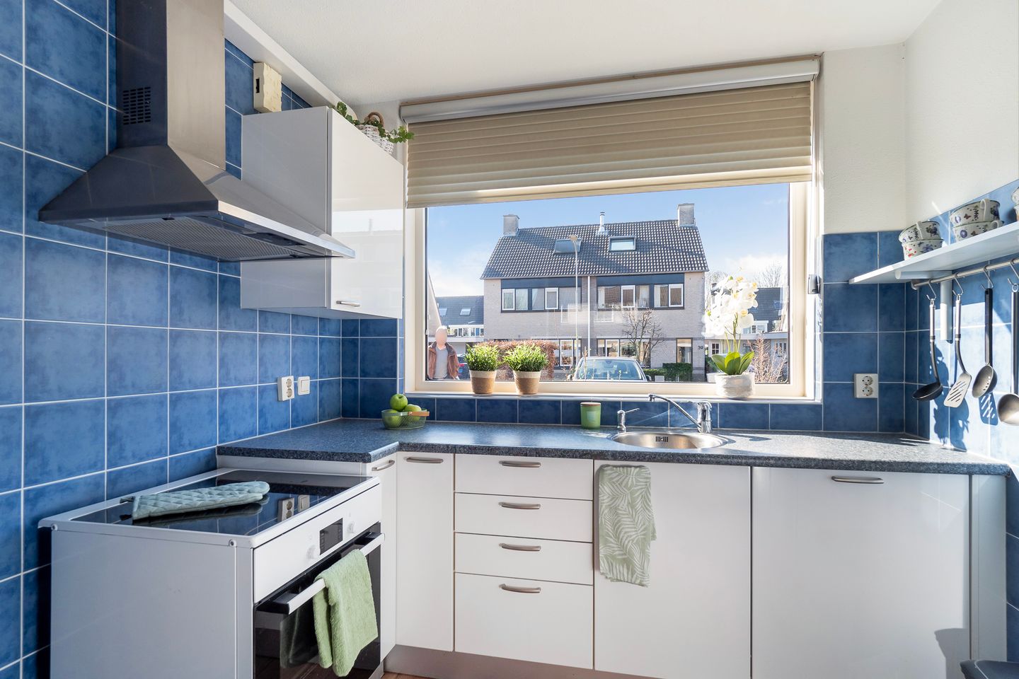 Photo 4 of Suikerpeer 20