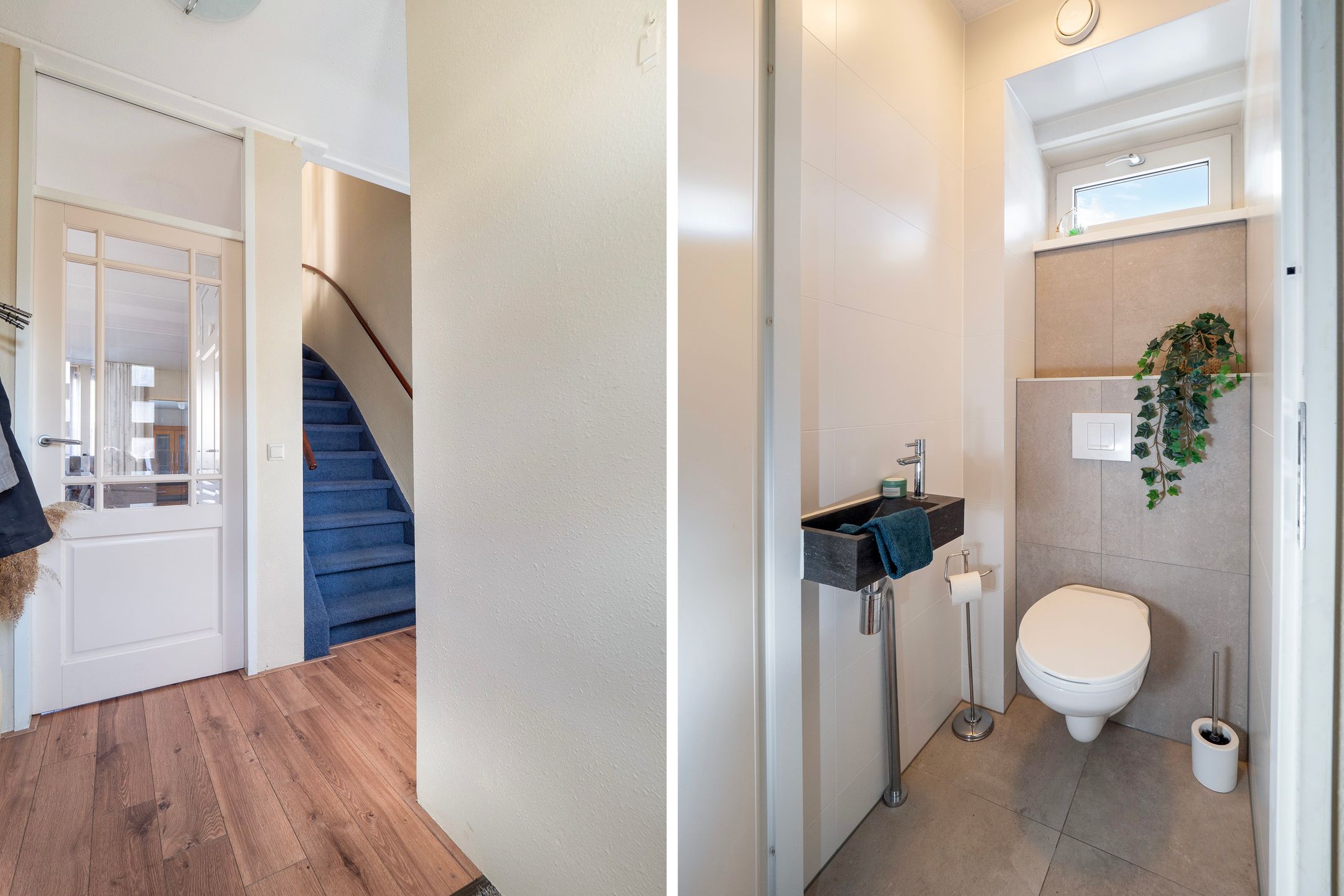 Photo 6 of Suikerpeer 20