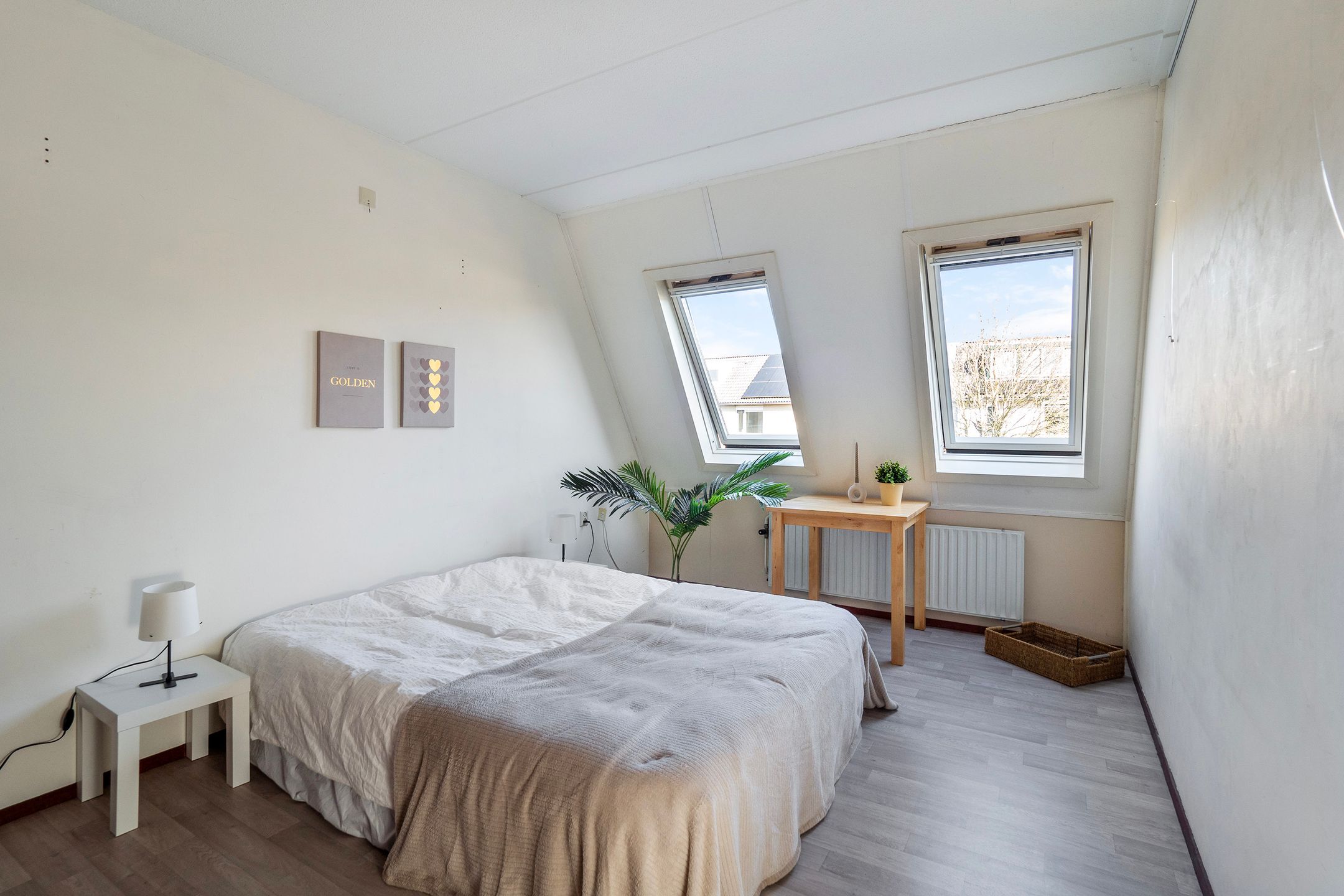 Photo 12 of Suikerpeer 20