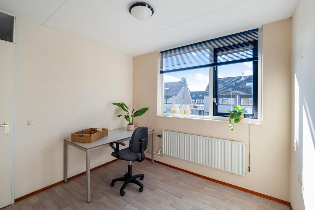 Photo 13 of Suikerpeer 20