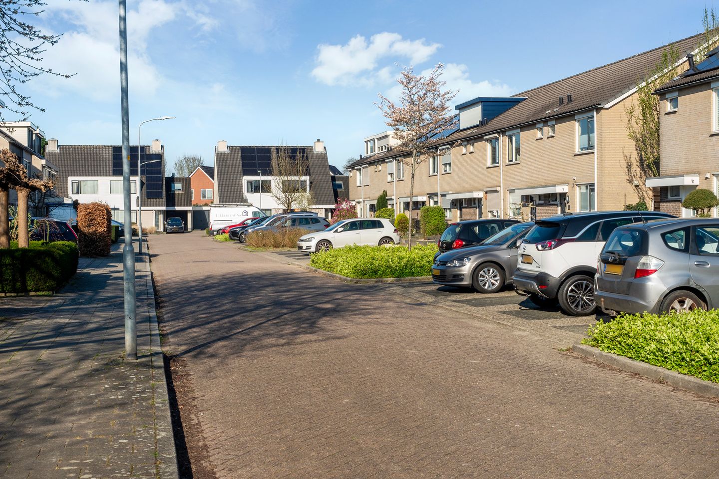 Photo 19 of Suikerpeer 20