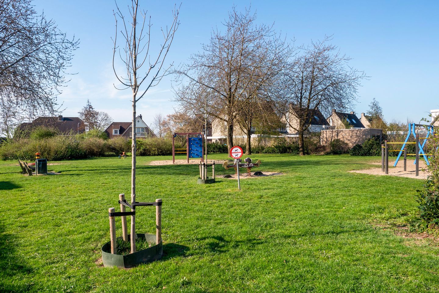 Photo 20 of Suikerpeer 20