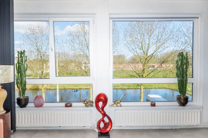 Foto 4 van Bernard Shawsingel 130