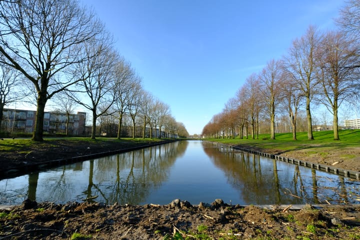 Foto 20 van Bernard Shawsingel 130