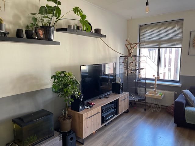 Foto 5 van Dijkstraat 16-A