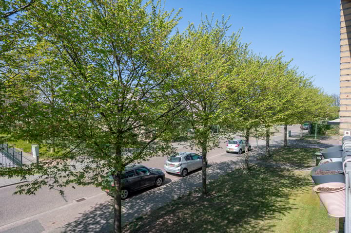 Foto 7 van Kruisbergplantsoen 15