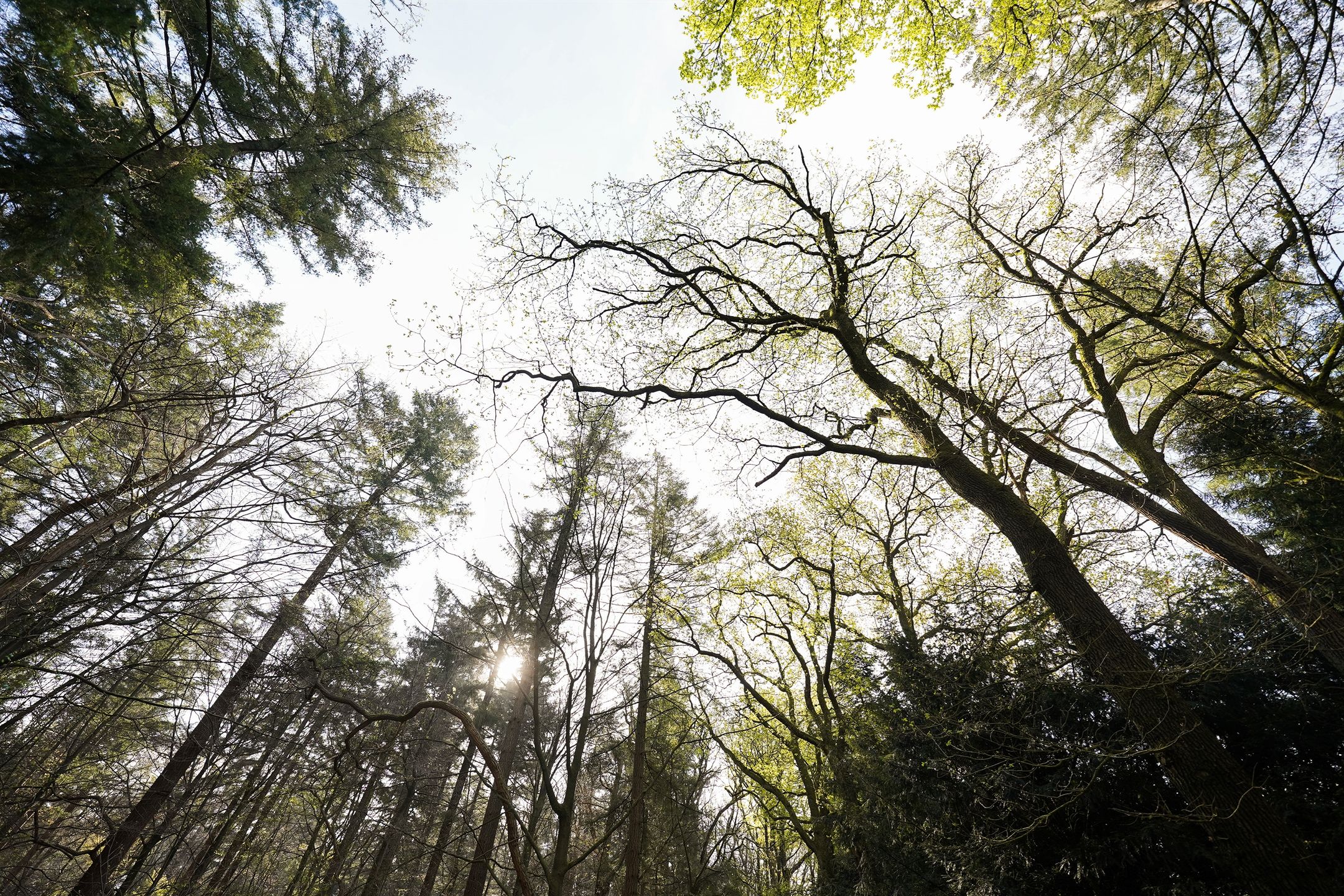 Foto 39 van Nic Beetsstraat 28