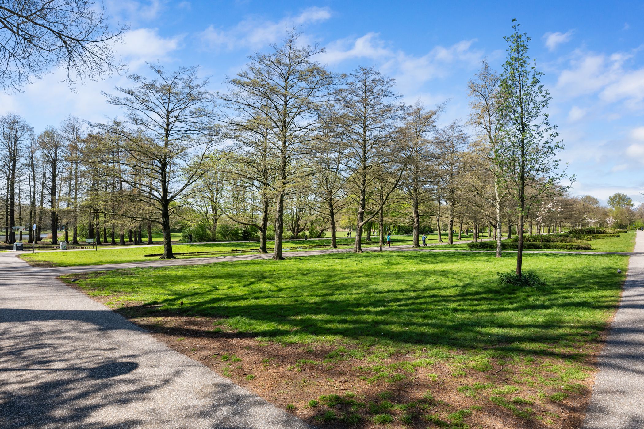 Foto 30 van Stadhoudersweg 101-D