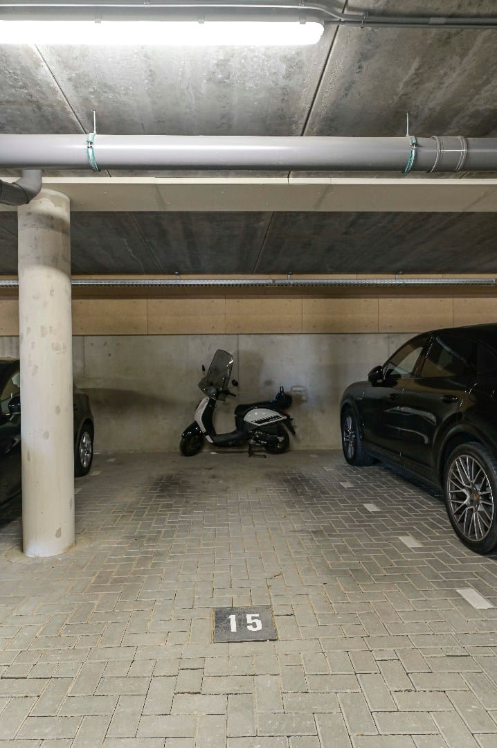 Foto 28 van Maasschriksel 109