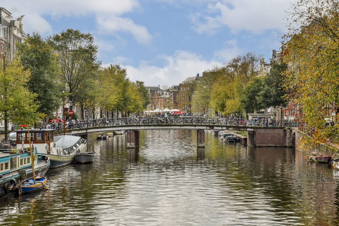 Photo 23 of Singel 50-B