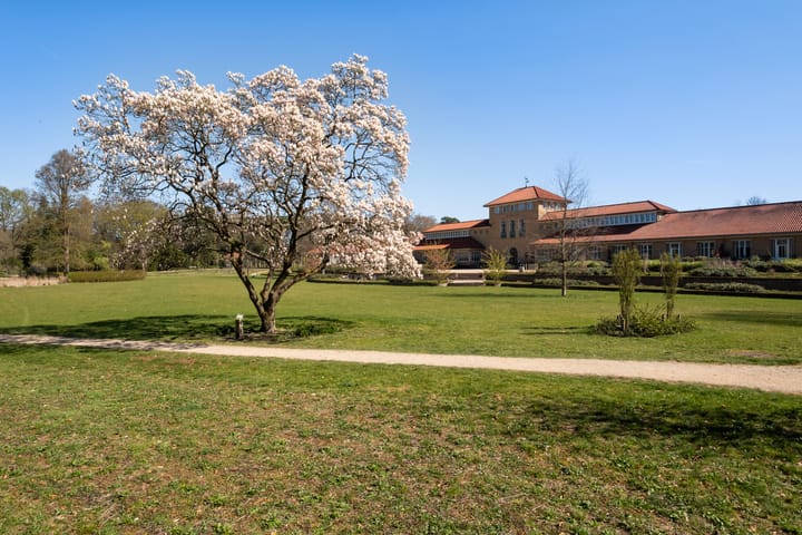 Foto 4 van Hooge Riet 64