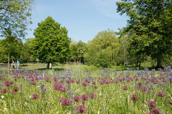 Foto 4 van Nieuwstraat 3