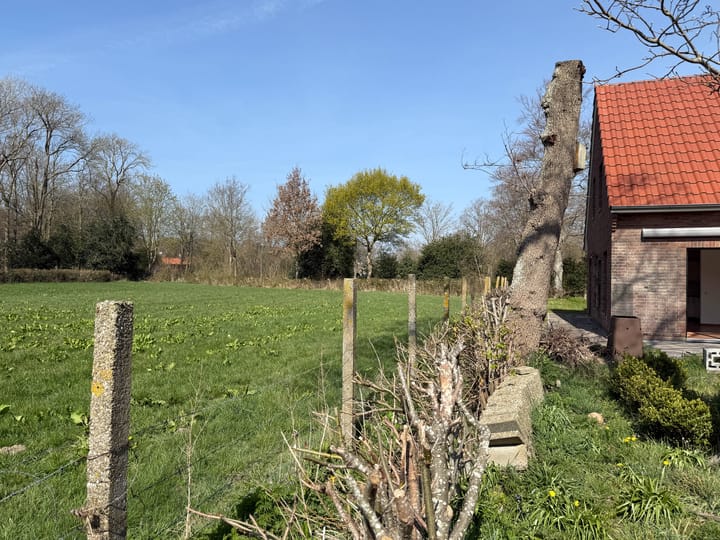 Foto 3 van Burgemeester Peecklaan 8