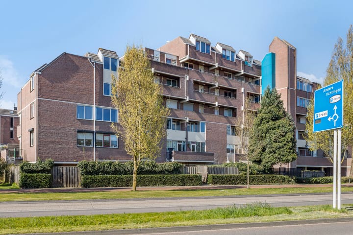 Braak 94