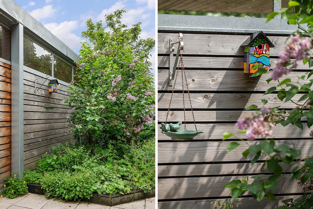 Foto 62 van Lentepark 118