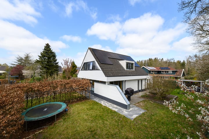 Foto 35 van de Stringen 41