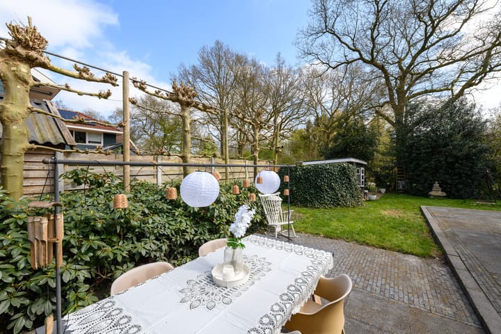 Foto 39 van de Stringen 41