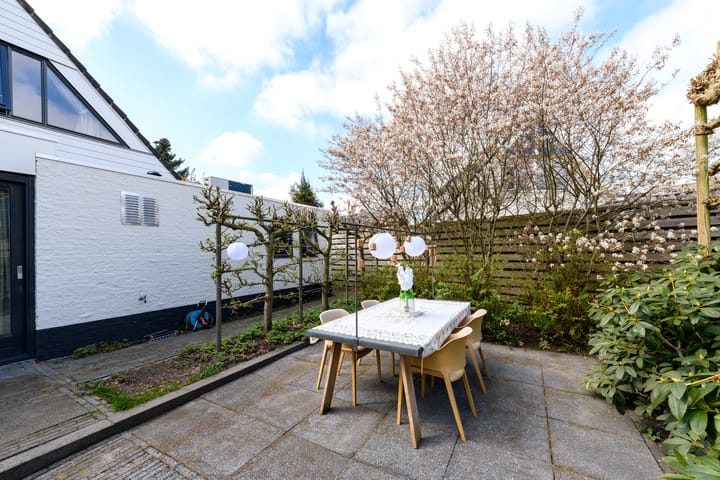 Foto 37 van de Stringen 41