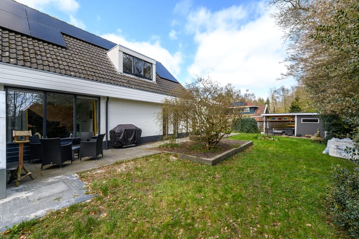 Foto 41 van de Stringen 41