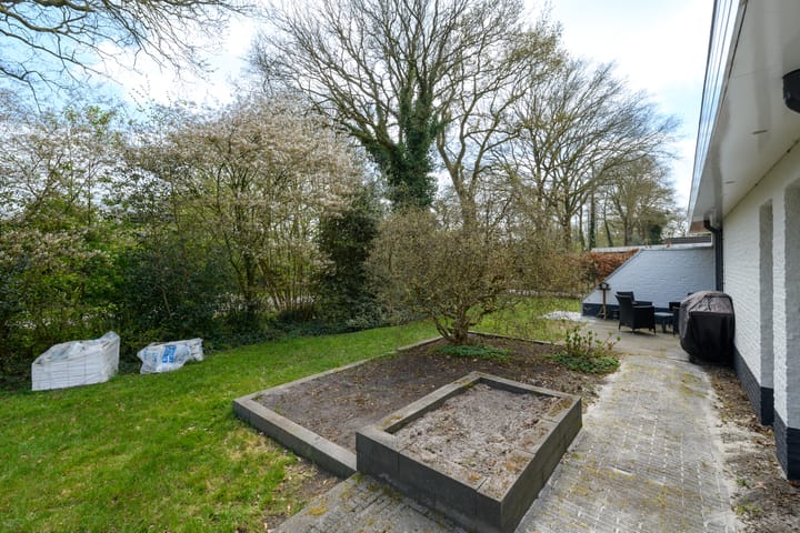 Foto 42 van de Stringen 41