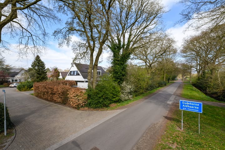 Foto 49 van de Stringen 41