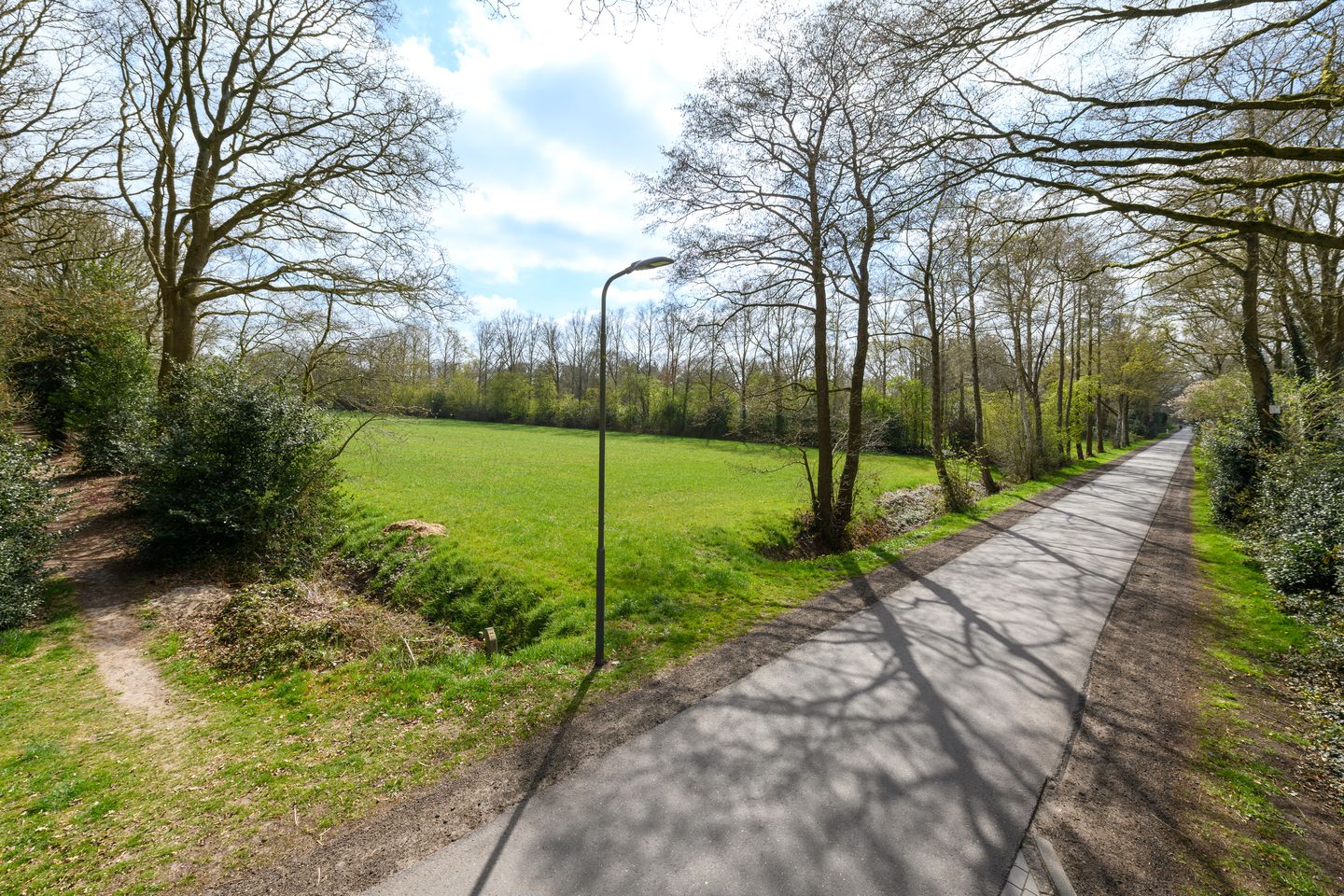 Foto 50 van de Stringen 41