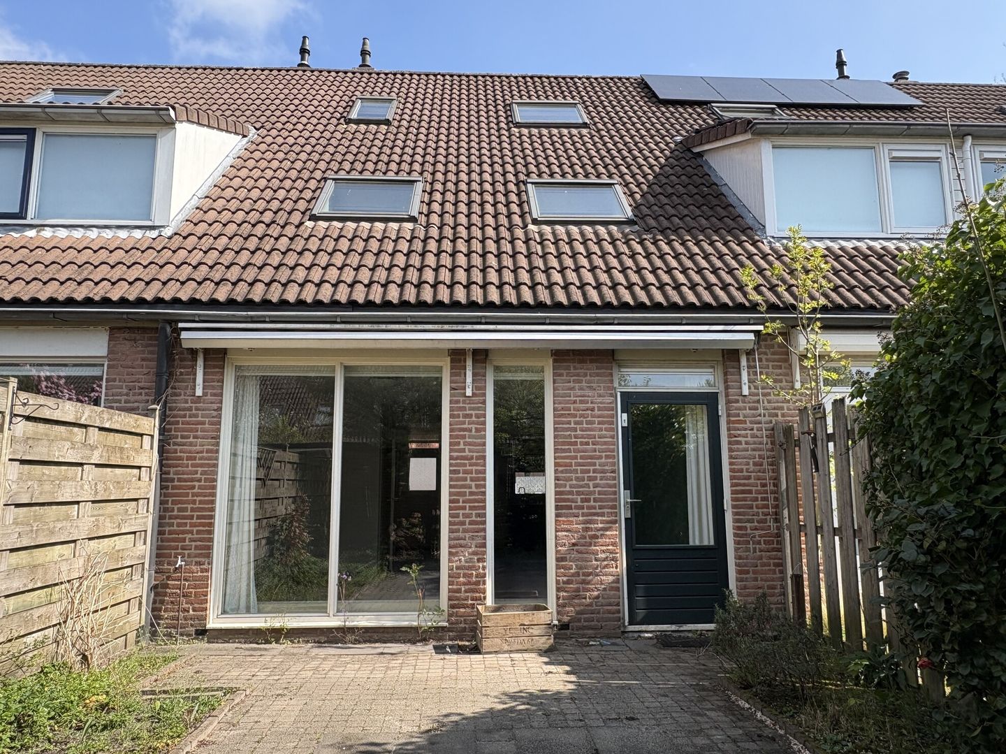 Photo 20 of Schaapherder 30