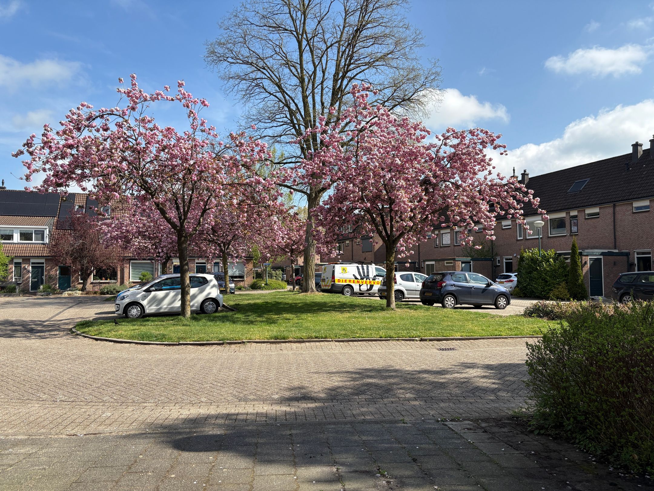 Photo 21 of Schaapherder 30