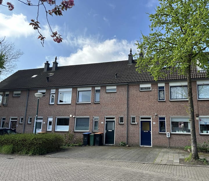 Schaapherder 30