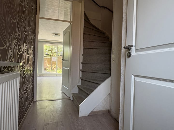 Photo 3 of Schaapherder 30