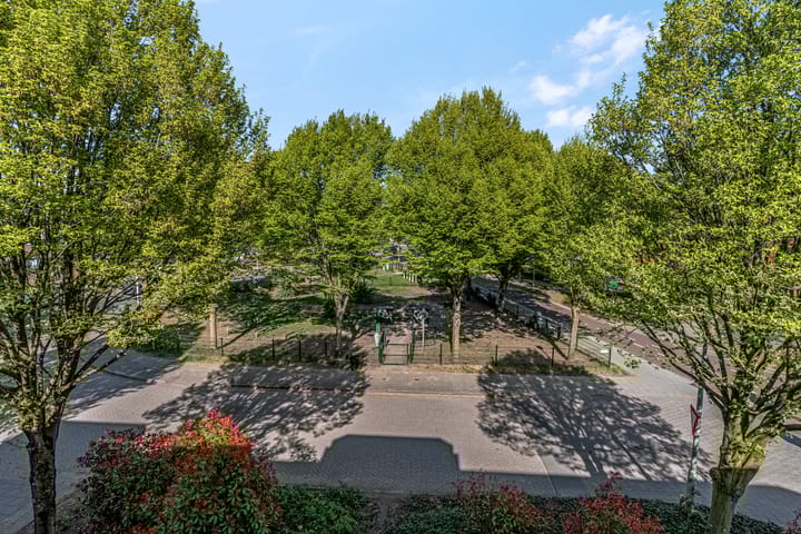 Foto 16 van Luttikenerf 72