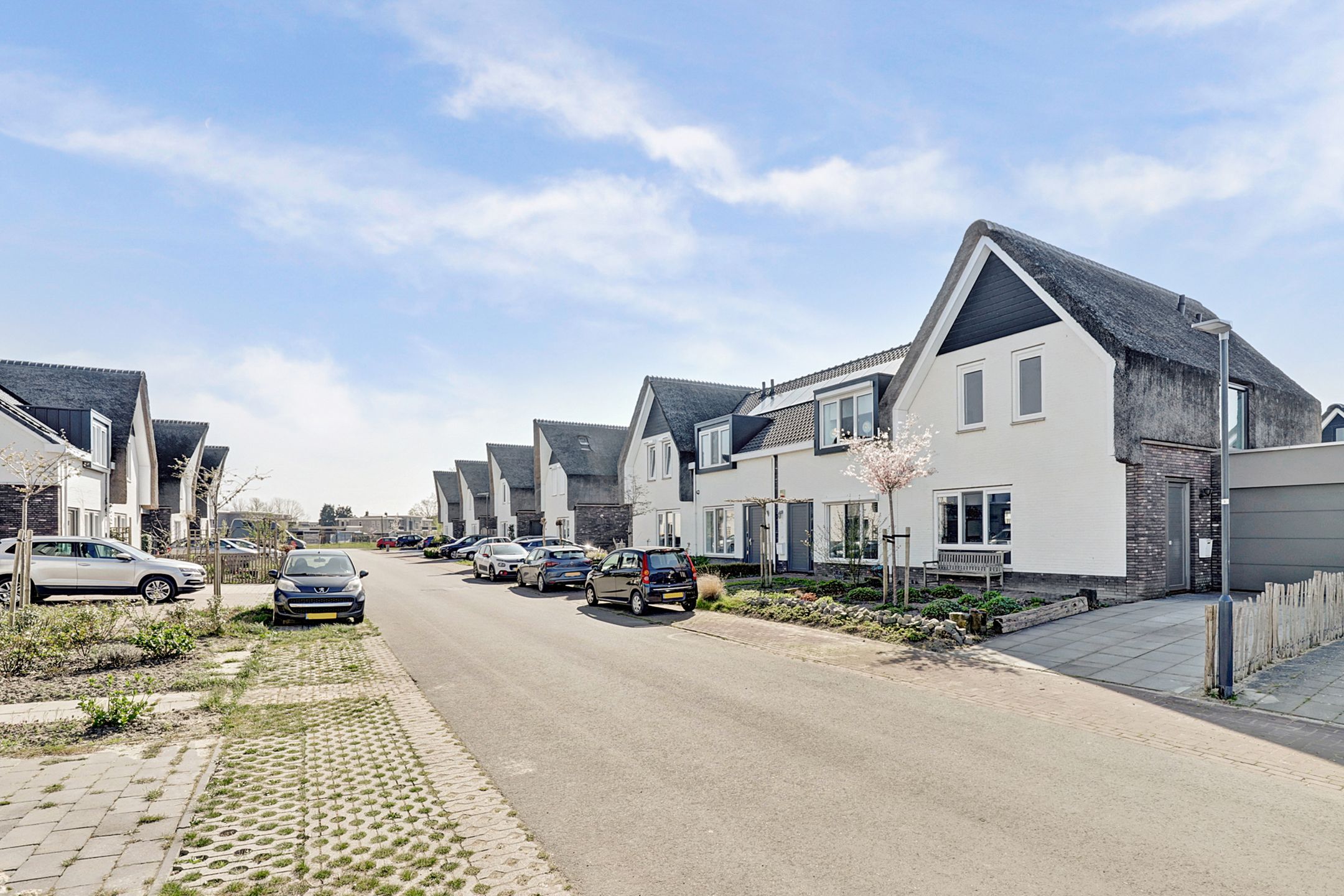 Photo 3 of Reedulf 11