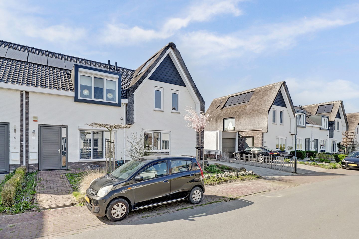 Photo 4 of Reedulf 11