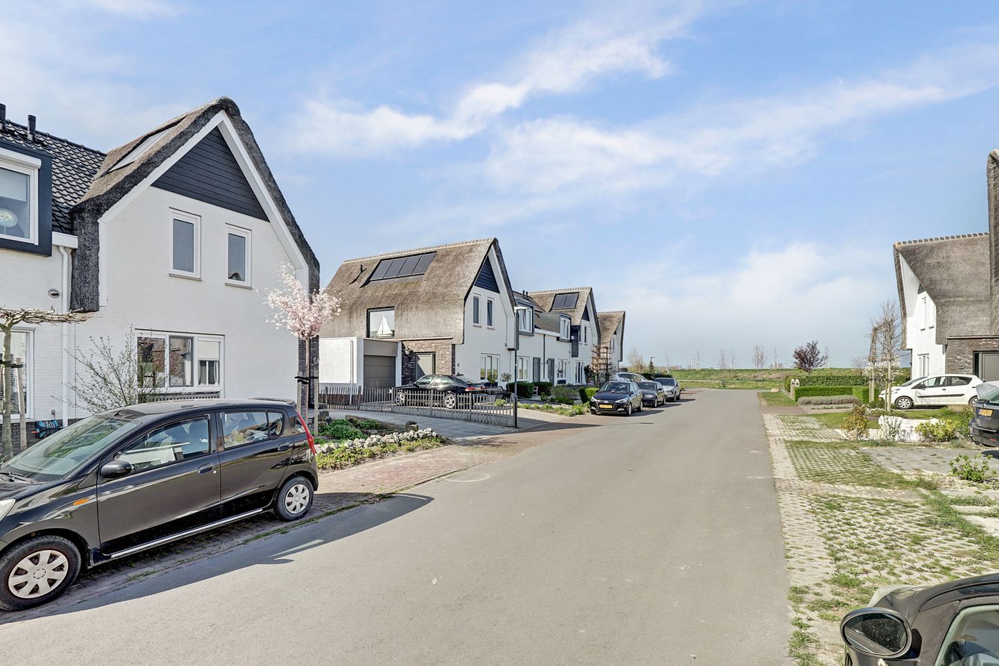 Photo 5 of Reedulf 11