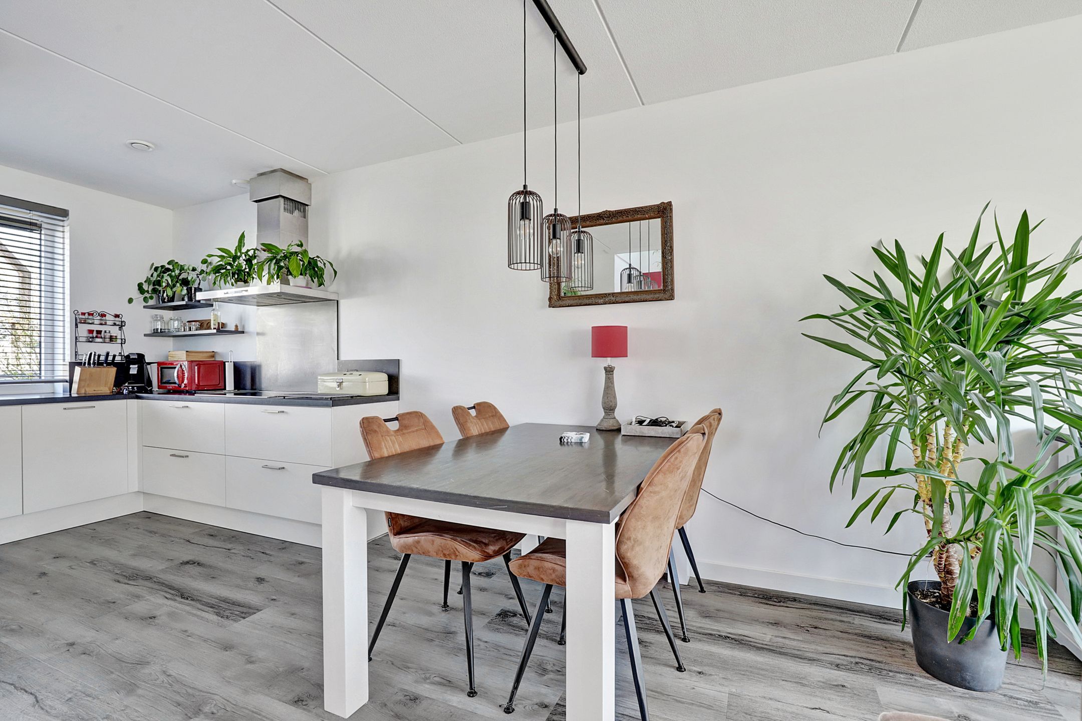 Photo 9 of Reedulf 11