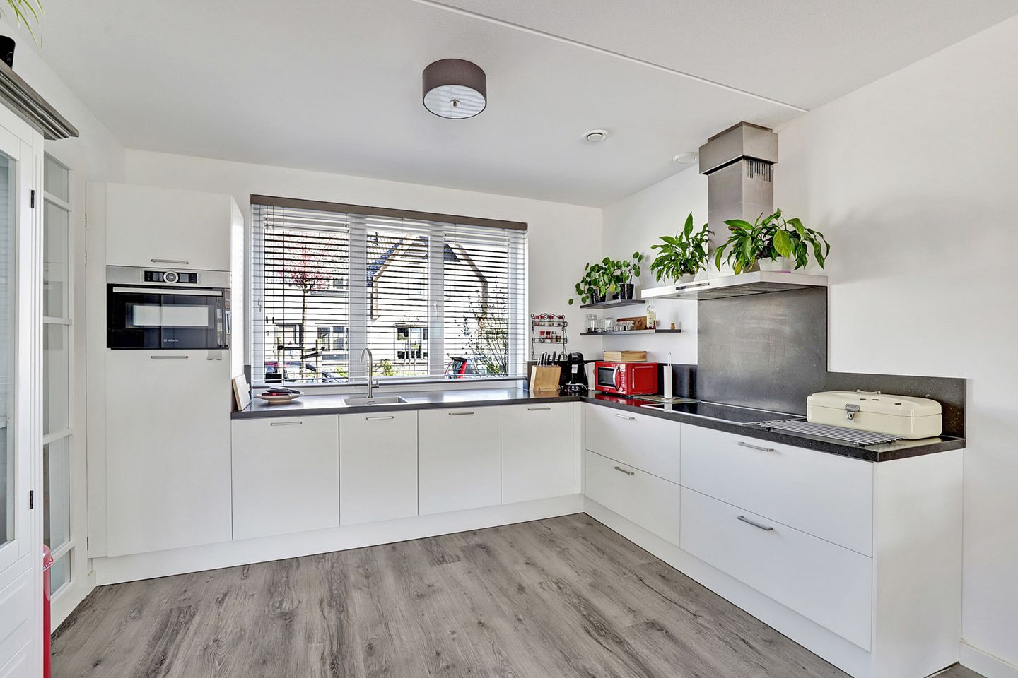 Photo 10 of Reedulf 11