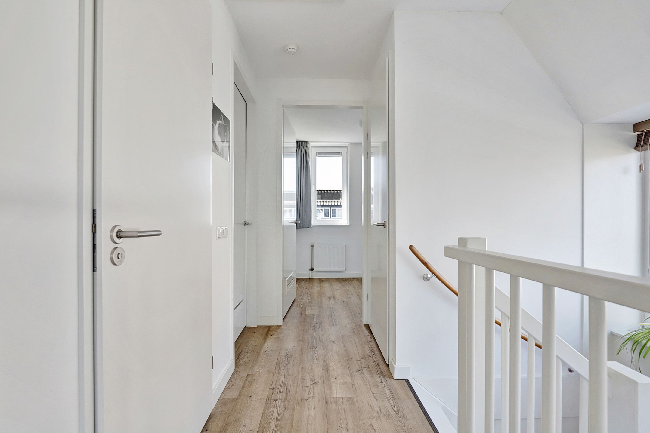 Photo 12 of Reedulf 11