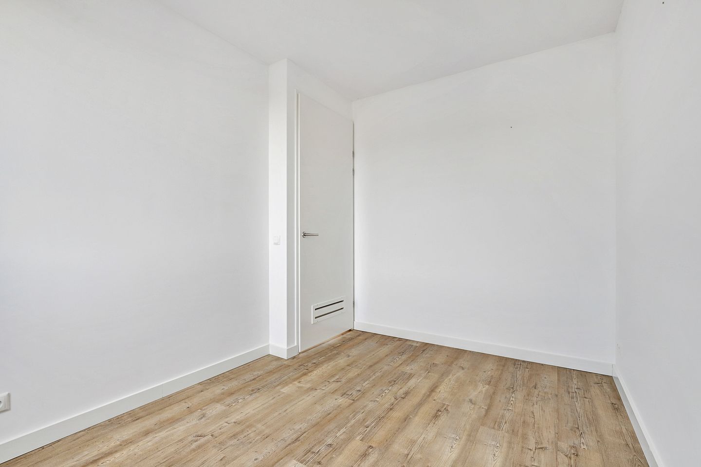 Photo 19 of Reedulf 11