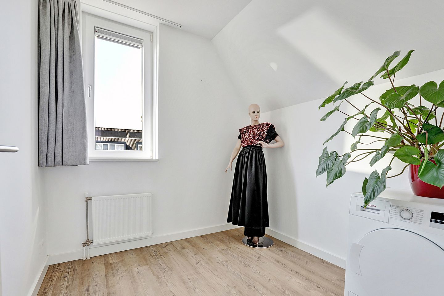 Photo 20 of Reedulf 11