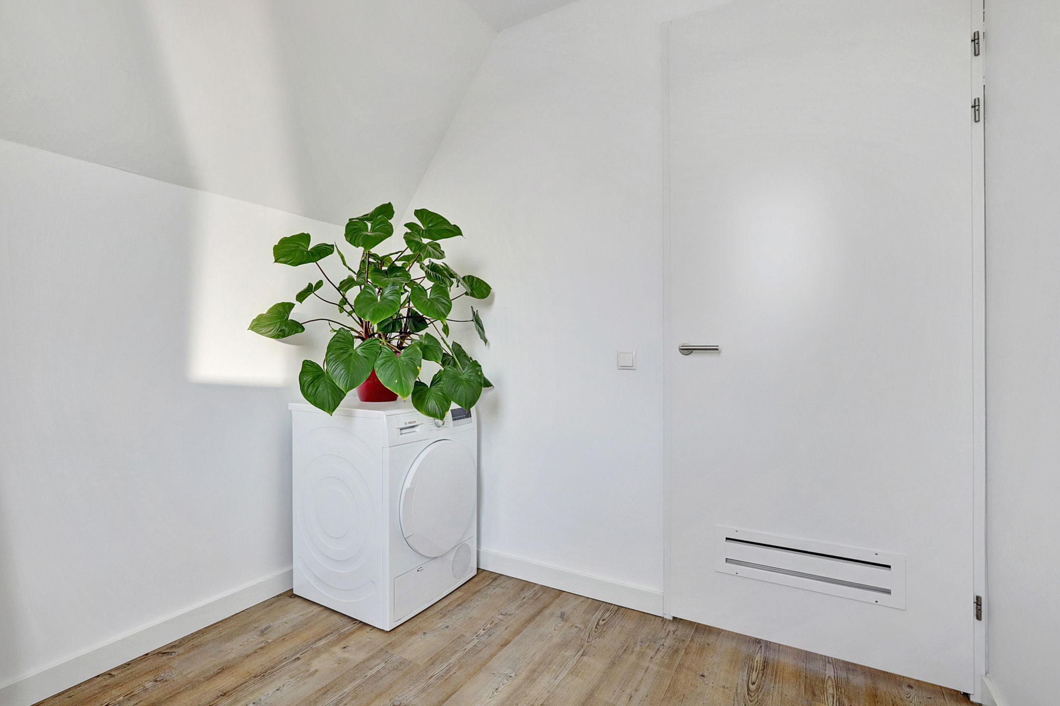 Photo 21 of Reedulf 11