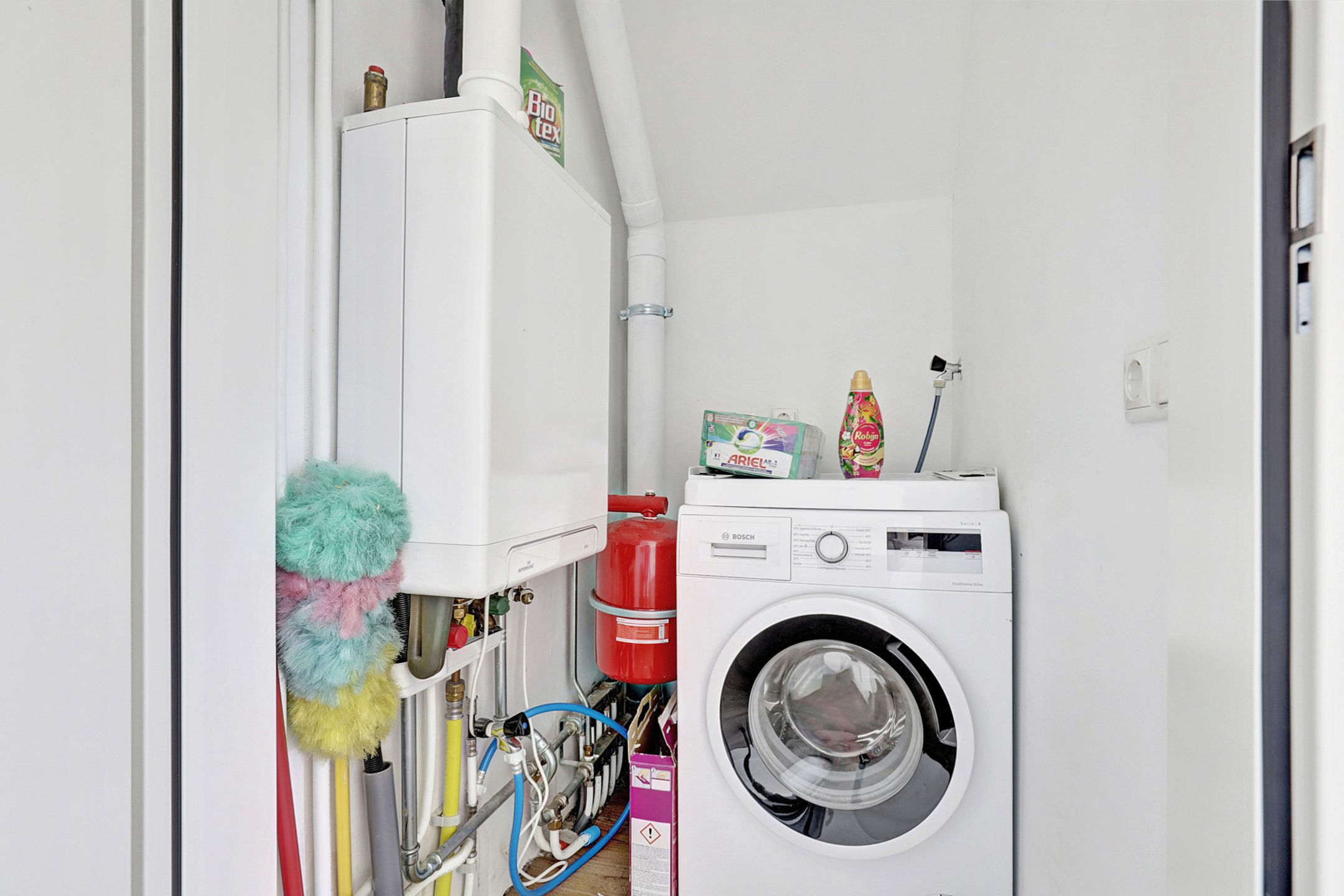 Photo 24 of Reedulf 11