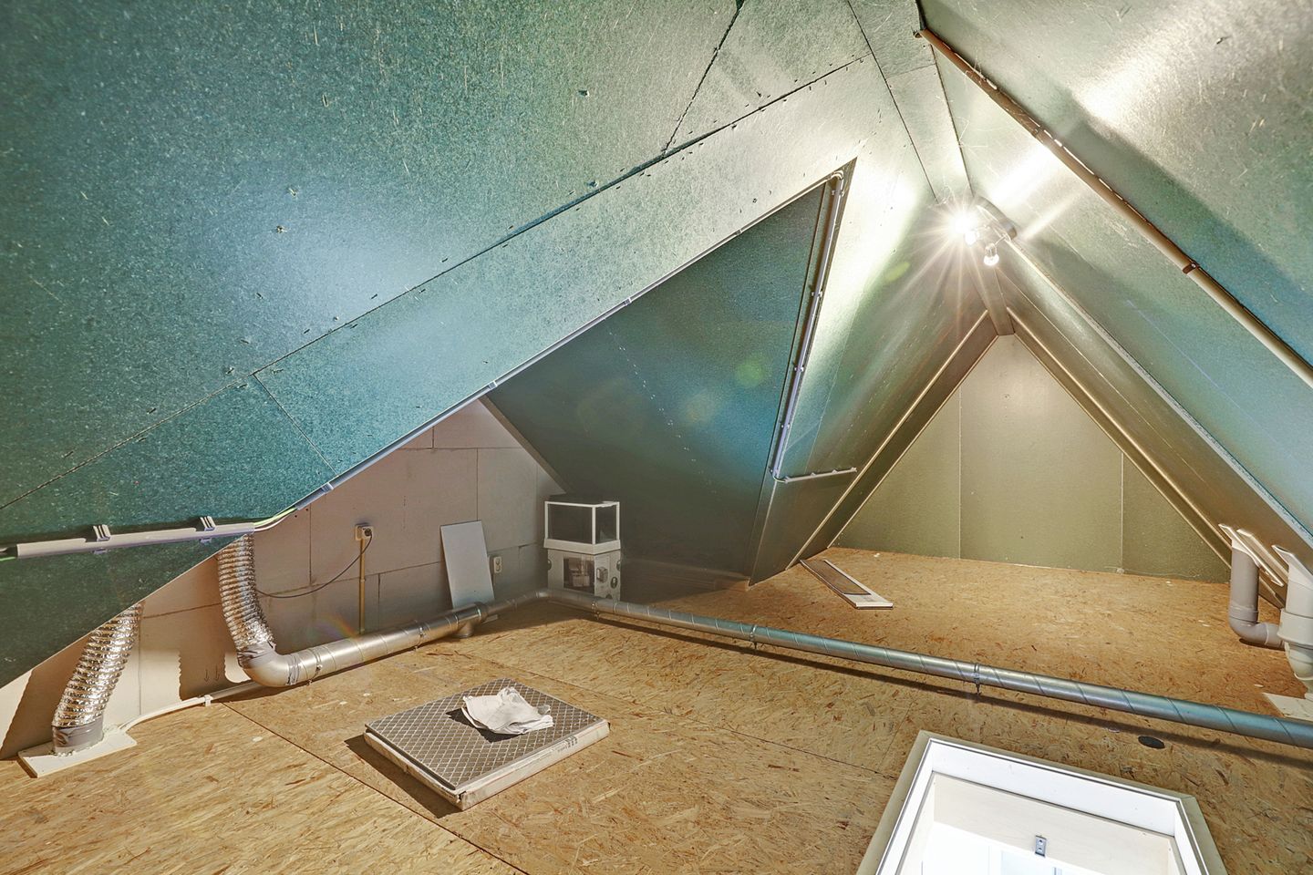 Photo 25 of Reedulf 11