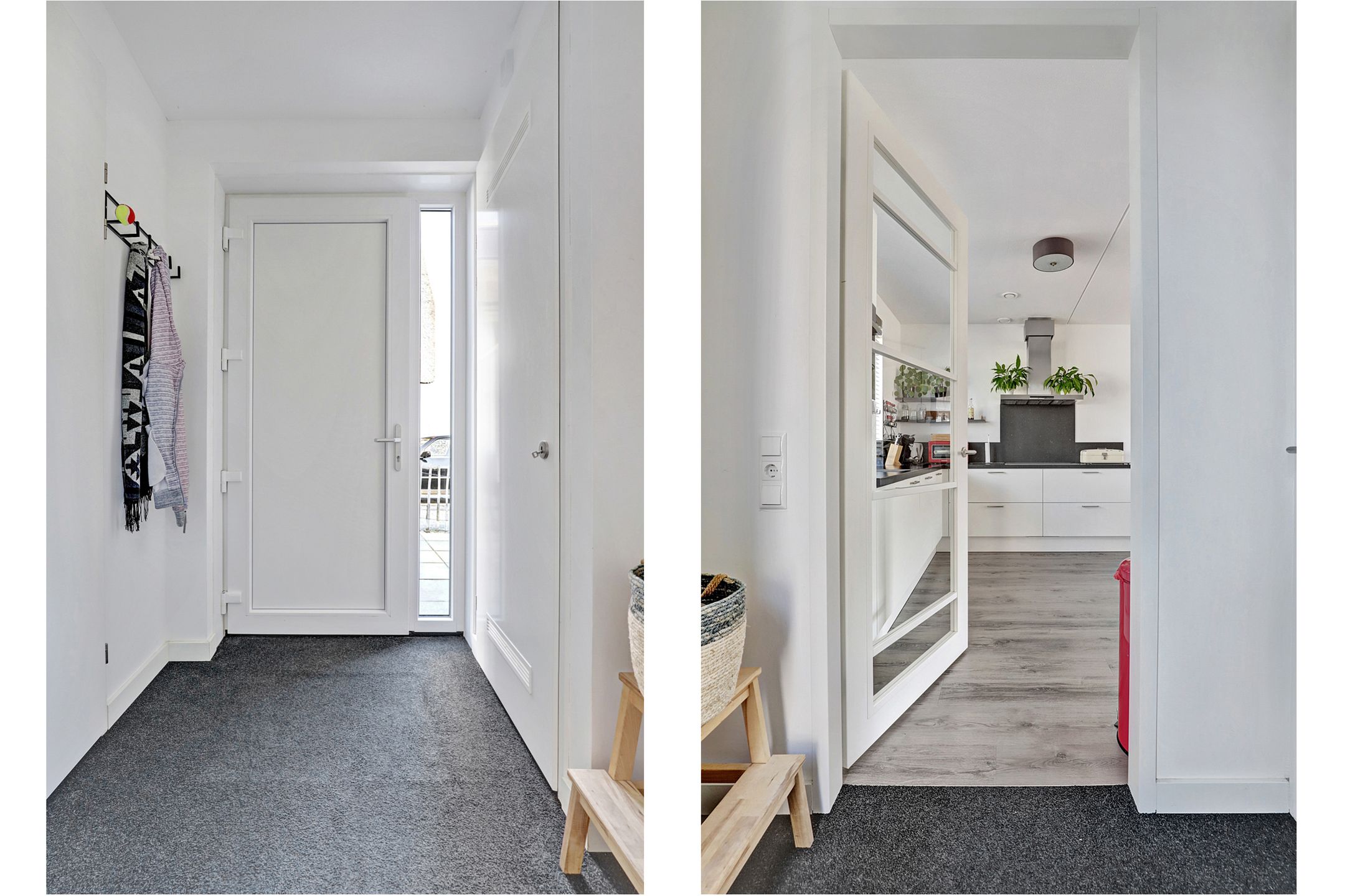 Photo 33 of Reedulf 11