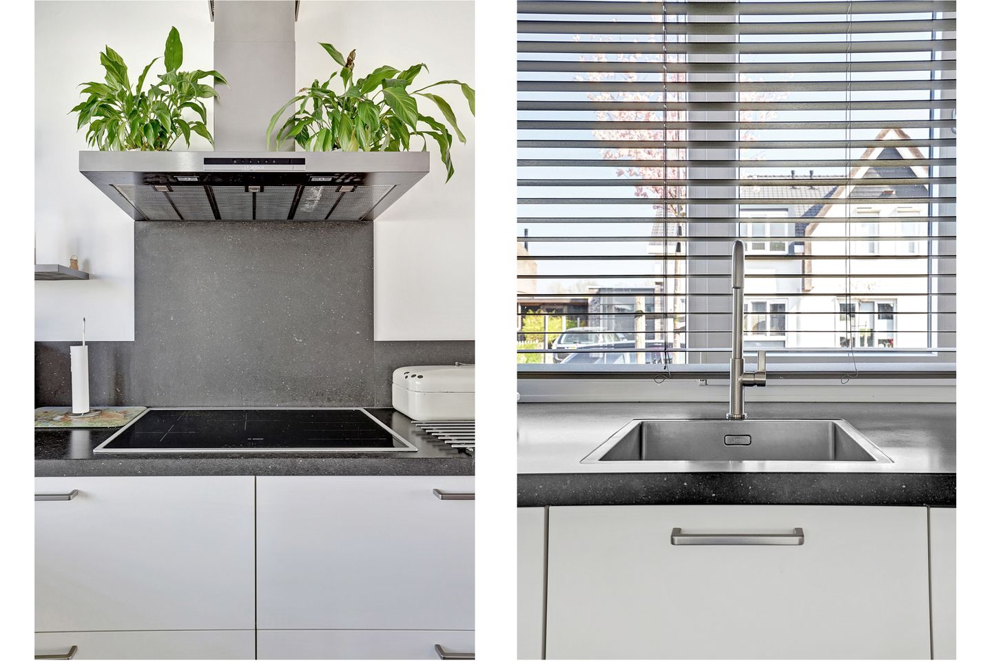 Photo 34 of Reedulf 11