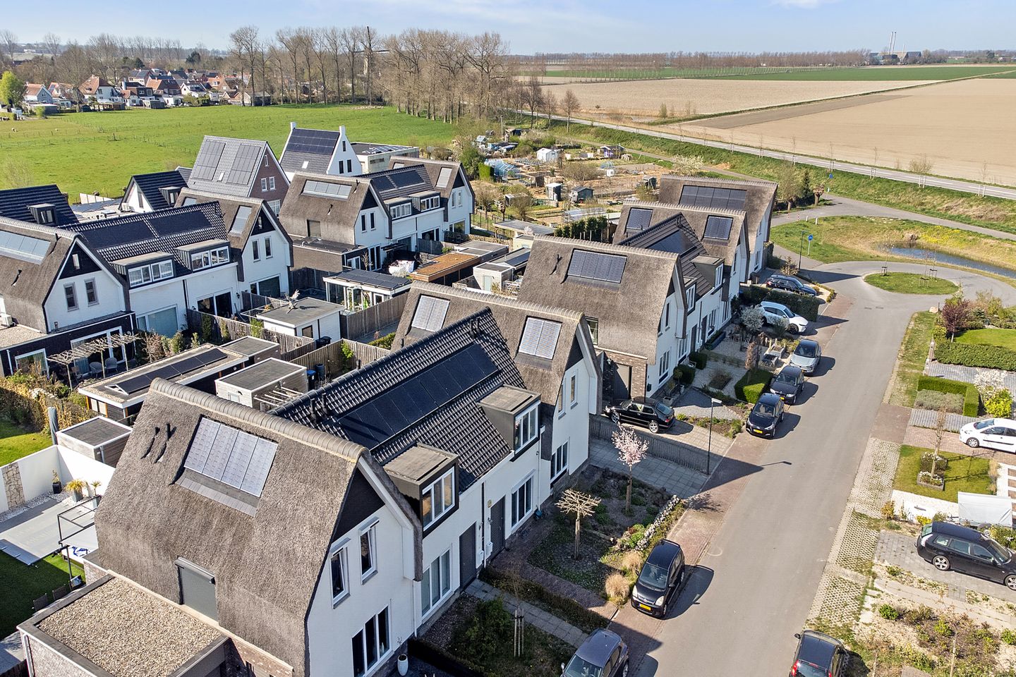 Photo 35 of Reedulf 11