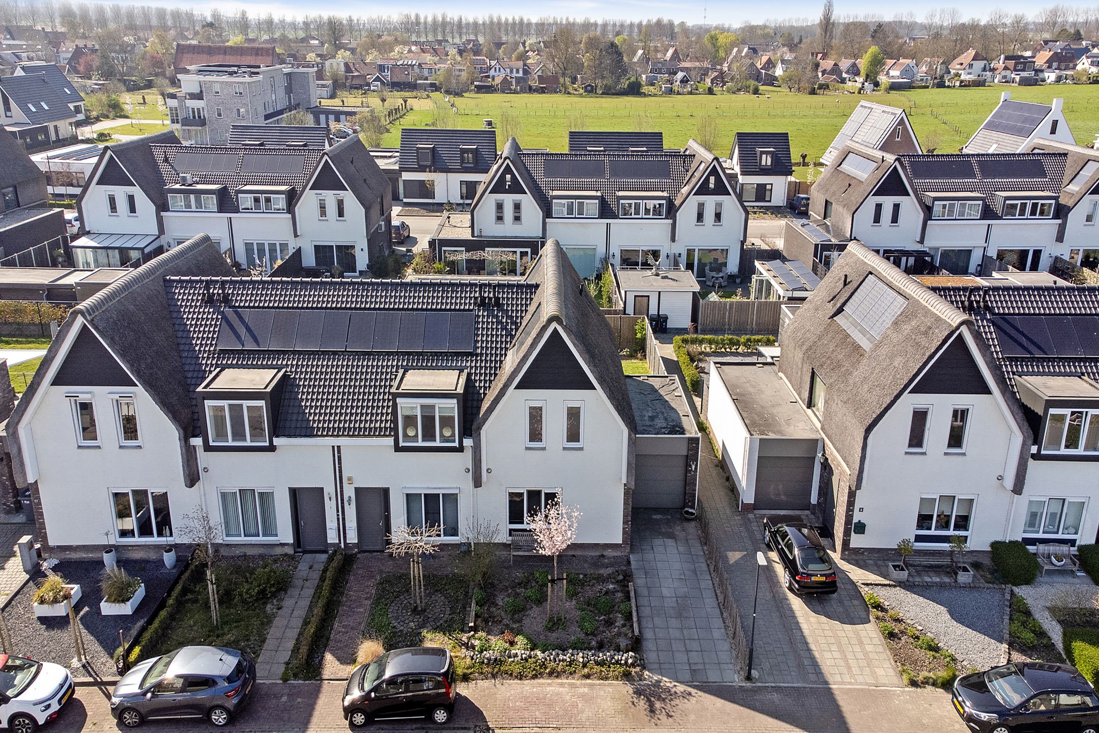 Photo 36 of Reedulf 11