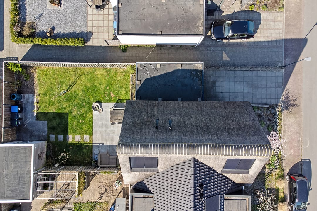 Photo 37 of Reedulf 11