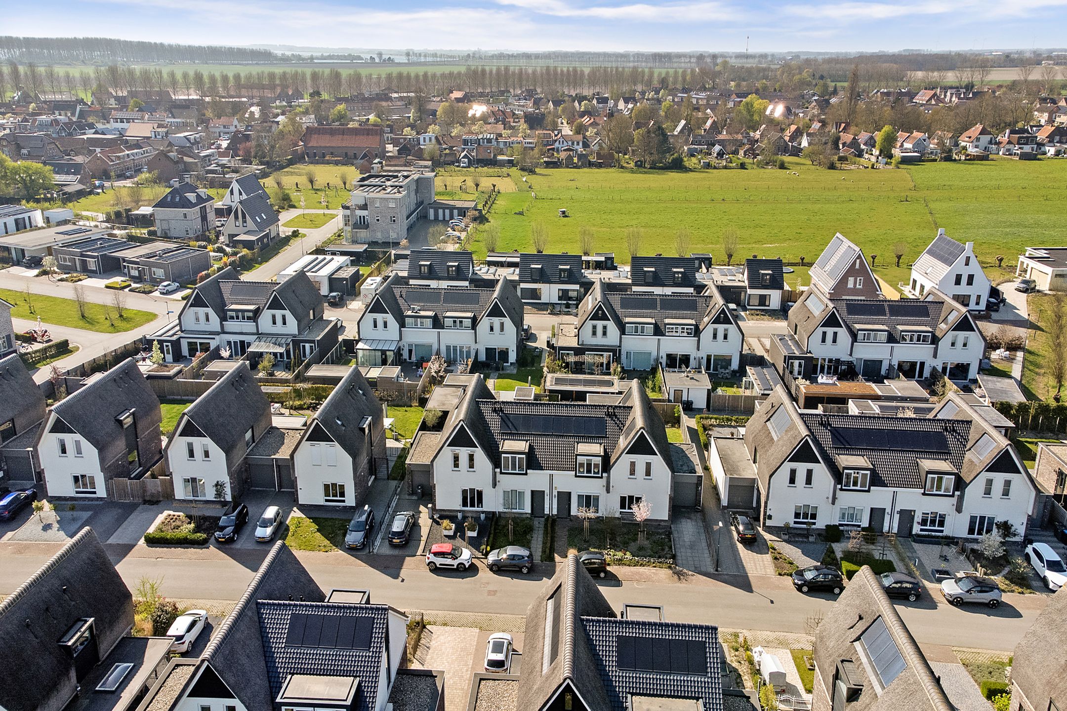 Photo 39 of Reedulf 11